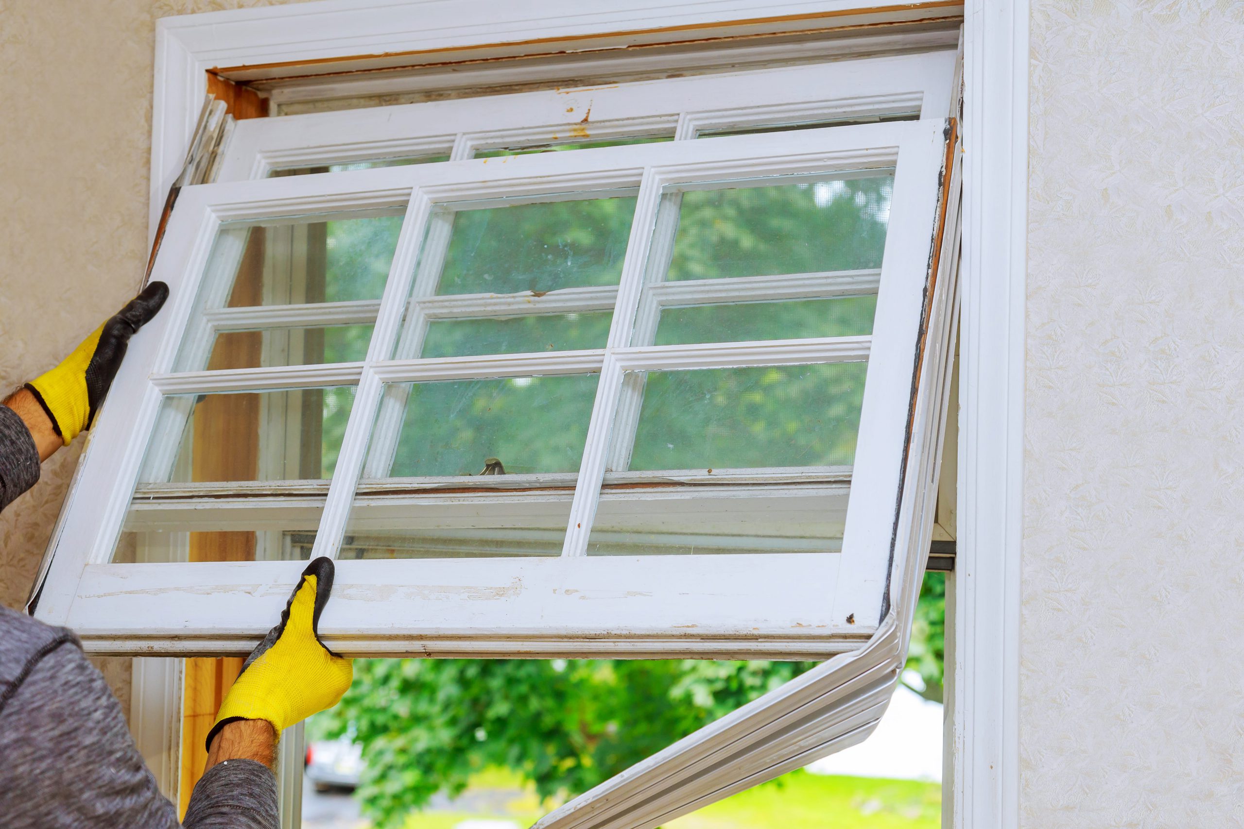window replacement downers grove il
